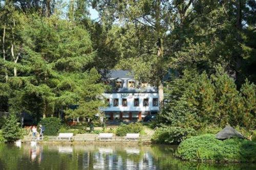 Heidsmuehle Hotell Manderscheid Exteriör bild